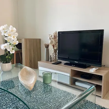 Magnifique 2p A Avec Vue Apartment