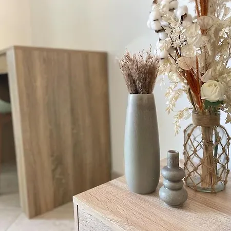 Apartment Magnifique Renove 2p A Avec Vue *